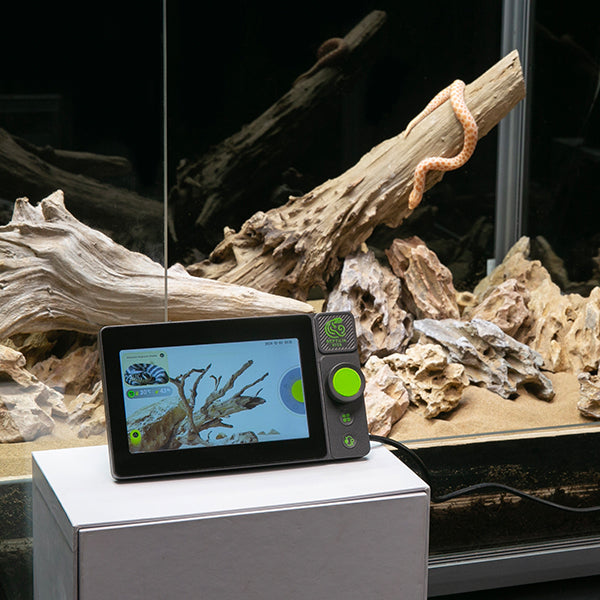 RT01 Smart Reptile Controller