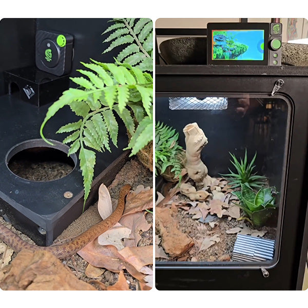 RT01 Smart Reptile Controller