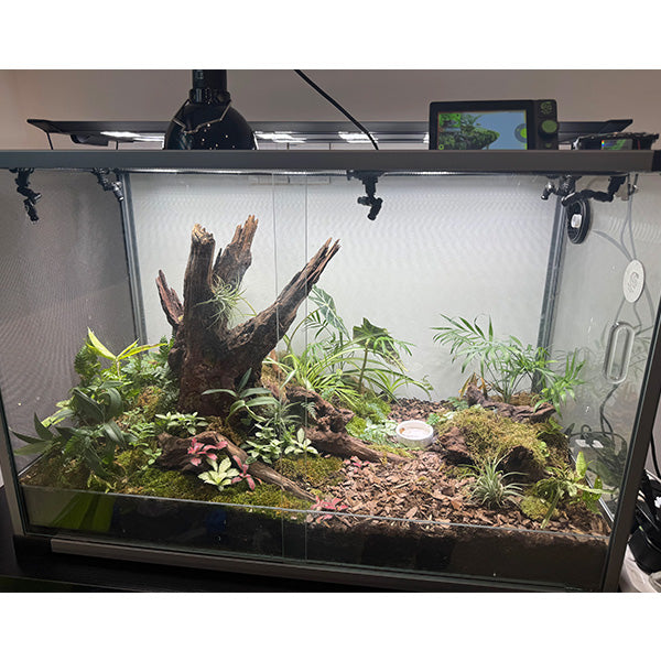 RT01 Smart Reptile Controller