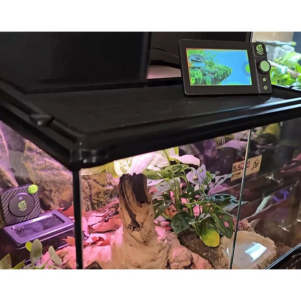RT01 Smart Reptile Controller