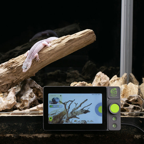 RT01 Smart Reptile Controller